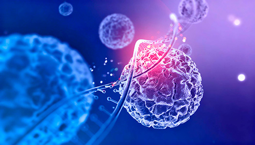 resultados naturales y satisfactorios de las inyecciones de polinucleotidos